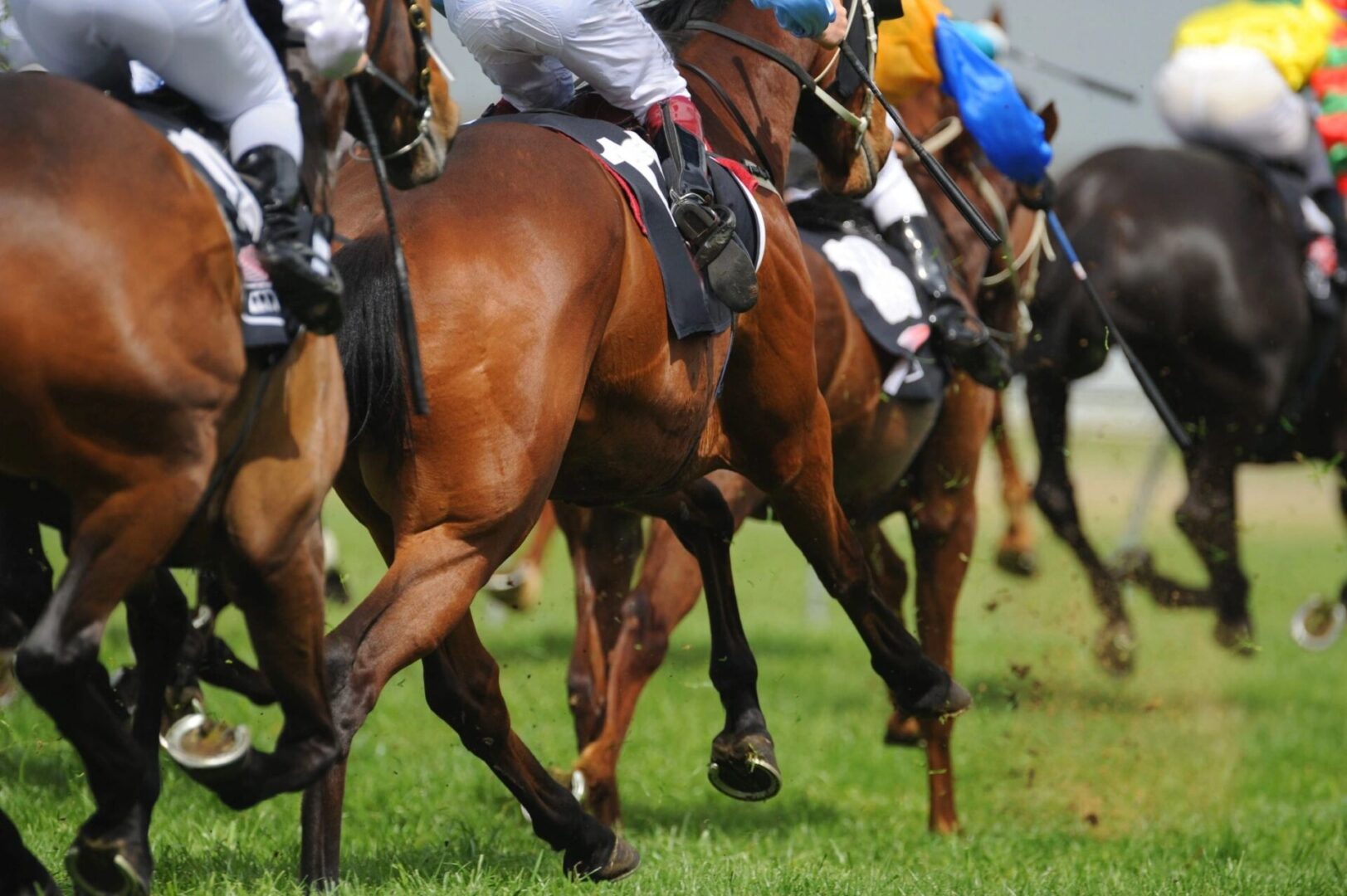 A group of people riding horses on top of grass.