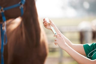 A person brushing their horse 's hair with a comb.